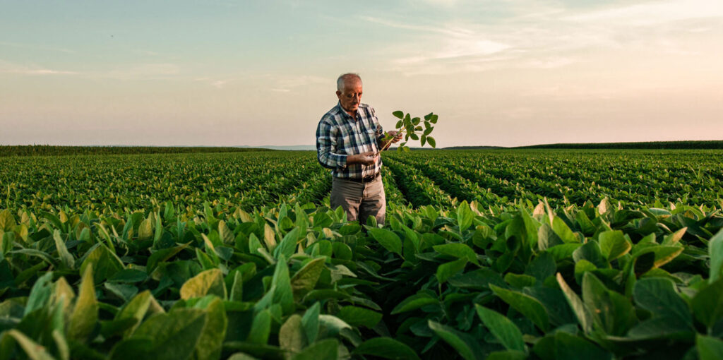 Field to Family Meld Marketing